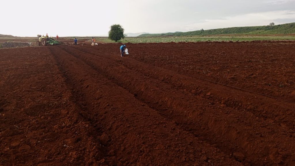 bed former for hire in Kenya